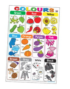 Education Charts Colours