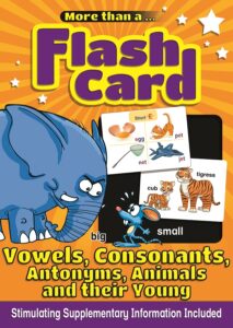 More Than Flash Cards Vowels, Consonants, Antonyms, Animals