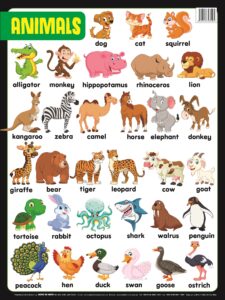 Educational Chart Mini Animals