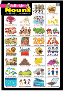 Education Charts Collective Nouns