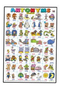 Education Charts Antonyms