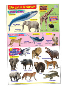 Education Charts Do You Know?