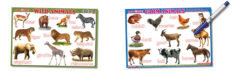 Writing Boards: Let’s Write Wild Animals & Farm Animals
