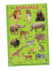 Education Charts Wild Animals