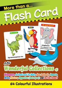 More Than Flash Cards: My Wonderful Collections, Revised