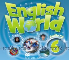 English World Level 6: Class Audio CD