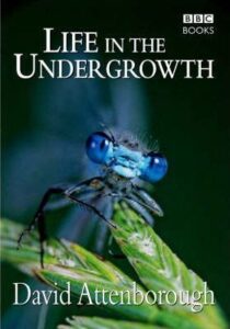 NATURE: Life in the Undergrowth