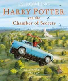 Harry Potter and the Chamber of Secrets illustrated by Jim Kay