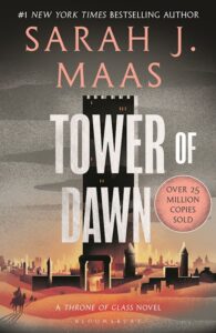 Throne of Glass Book 6: Tower of Down