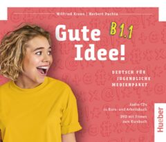Gute Idee! B1.1 Medienpaket