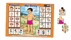 Fun With Puzzles: My Body