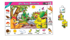 Fun With Puzzles: The Ugly Ducking